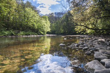 Fototapeta na wymiar River Ure flowing through Hackfall Wood, North Yorkshire, England