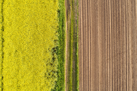 ein gepfl&uuml;gter acker und ein feld mit bl&uuml;hendem raps