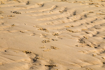 beautiful sea sand sky and summer day