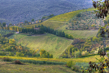 Fototapeta na wymiar Farmland in Rada, Italy seen from hills above