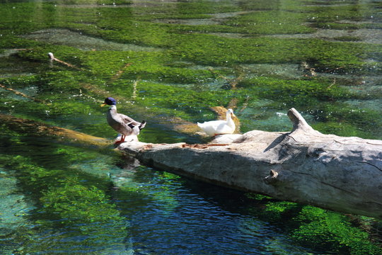 Parco del Grassano