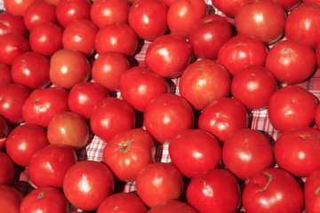Tomatoes for sale at the Bloomington Farmers Market