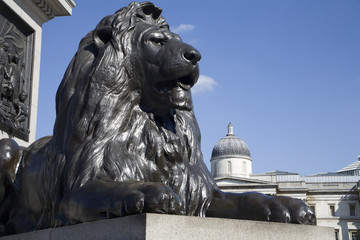 London - lion from Nelson memorial on Trafalgar square