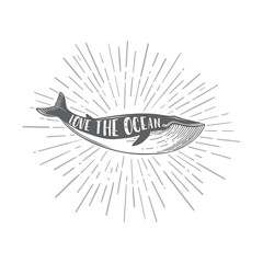 Love the ocean.Hand drawn nautical vintage illustration with a whale.Vector.