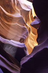 Light beam illuiminating tukblweed in brilliant colors of underground slot canyon
