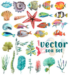 Akwarela Sea Life, wodorosty, muszla, ryby, konik morski, piękna kolekcja dla projektu - 153556889