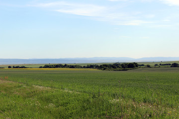 Obraz premium gomport