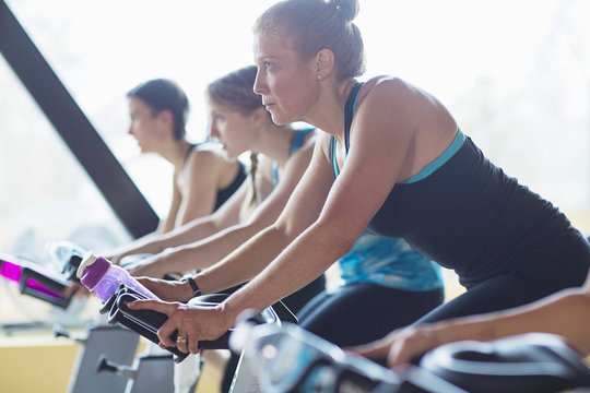 Women cycling on exercise bikes at health club