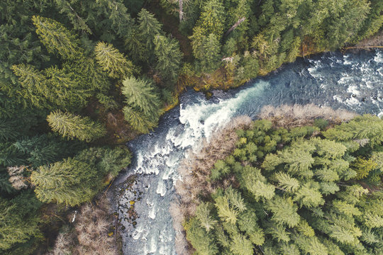 High angle view of river flowing amidst trees in forest
