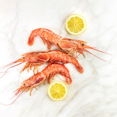 Raw shrimps with slices of lemon and copyspace