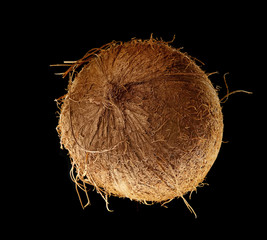Coconut on black background