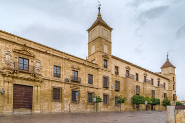 Fototapeta na wymiar Episcopal Palace, Cordoba, Spain
