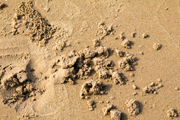 beautiful sea sand sky and summer day