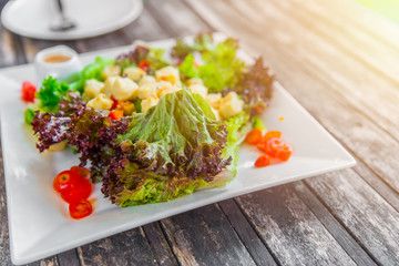 fresh oganic vegetable tofu mix salad with sesami sauce. clean food healthy food served on lunch dish on wood table.