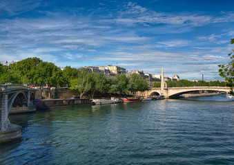 Fototapeta premium The river Seine and Pont de la Tourelle at Paris