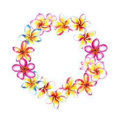 Fototapeta na wymiar Plumeria flowers frame composition, circular wreath. Watercolor illustration isolated on white background. Template for your design.