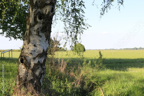 Beste Spielothek in Hamme finden Beste Spielothek in Hamme finden