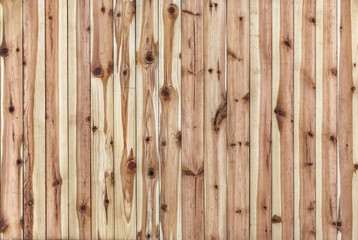 White Pine Knotted Planks Surface Texture Detail