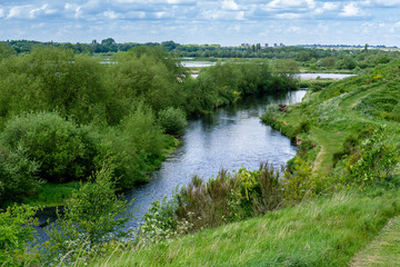 Fototapeta na wymiar Summer stream river green ripples