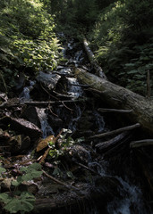 Waterfall with stones and green plants in mountain in forest