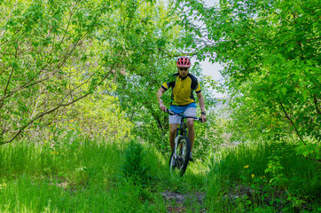 Young bicyclist wearing a helmet, riding through the forest, a bright photo.