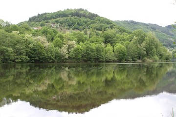 Fototapeta na wymiar forêt se reflétant dans la rivière Dordogne