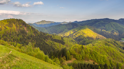 Fototapeta premium The Kamnik-Savinja Alps, Slovenia around the village Jamnik