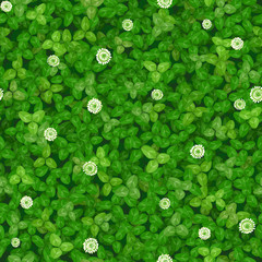 Бесшовная векторная текстура зеленой лужайки с белыми цветами клевера, вид сверху