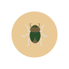 stylish icon in color circle beetle insect  