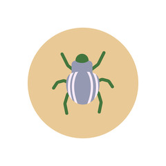 stylish icon in color circle beetle insect  