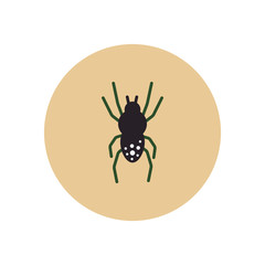 stylish icon in color circle spider insect 