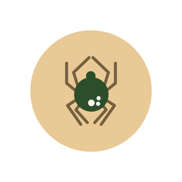 stylish icon in color circle spider insect 