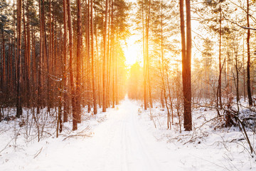 Amazing Beautiful sunset sunrise sun sunshine in sunny winter snowy