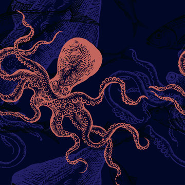 Sea animals seamless vector pattern. Octopus.