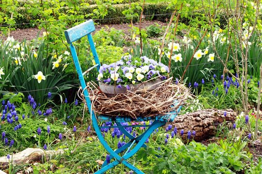 Blauer Gartenstuhl mit Pflanzen