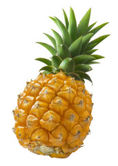 Mini pineapple angle isolated on white