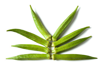 A fresh green okra isolated over white background