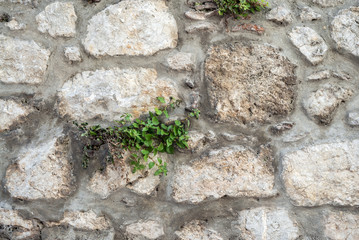 stone wall background