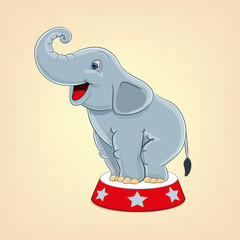 Obraz premium elephant vector