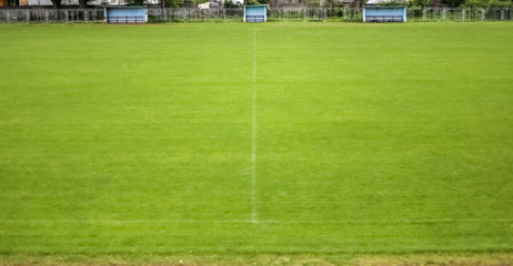 Fototapeta premium Green grass in the stadium, with benches for the teams and the delegation, grass, stadium, sunny day