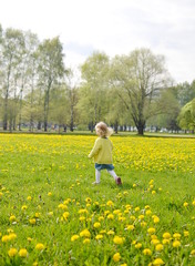 Fototapeta premium Cute little girl walking in the park with dandelion flowers