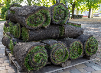 The roll  lawn
