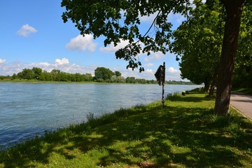Am Rhein Fluss Ufer bei Karlsruhe in Deutschland
