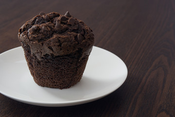 Cupcake with chocolate on a plate