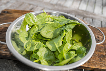 spinach in a bowl