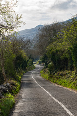 Ireland twisty road