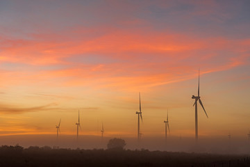 Silhouettes of wind turbines in fog at dawn near Hopefield