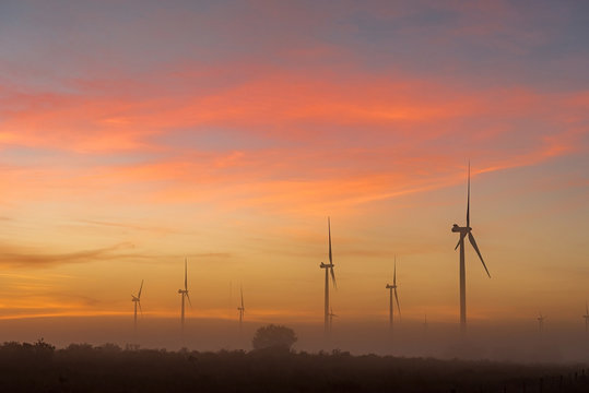Silhouettes of wind turbines in fog at dawn near Hopefield