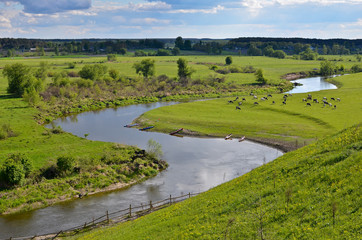 Spring landscape with river bending between vibrant green meadows. Top view. Beautiful nature...