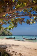 KO PHI PHI, THAILAND, February 2, 2014: Tropical beach with traditional long tail boats on the beach Mosquito island, Ko Phi Phi archiplago, Andaman Sea, famous tourist destination in Thailand